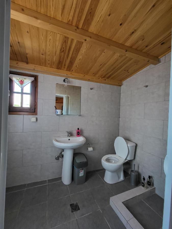 Παραδοσιακό Σπίτι Με Θέα Villa Tríkeri Buitenkant foto