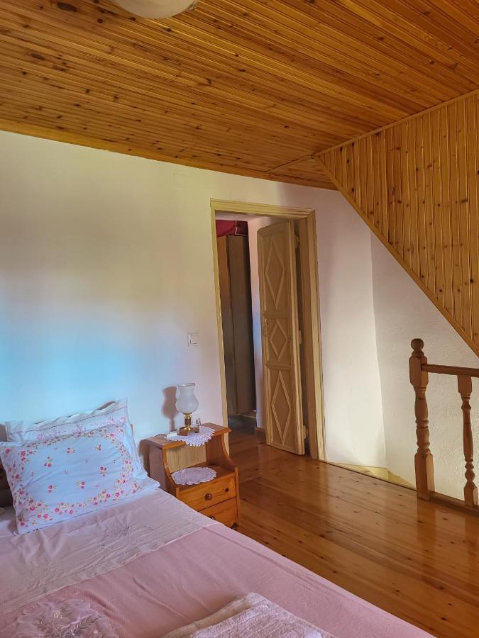 Παραδοσιακό Σπίτι Με Θέα Villa Tríkeri Buitenkant foto